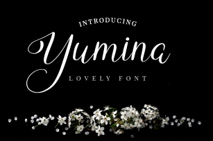 Yumina Font Download