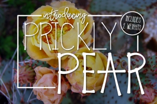 Prickly Pear Typeface Font Download