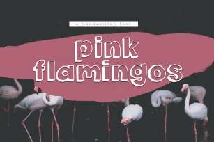 Pink Flamingos - Handwritten Bubble Font Font Download