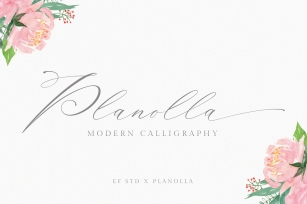 Planolla | Modern Calligraphy Font Download