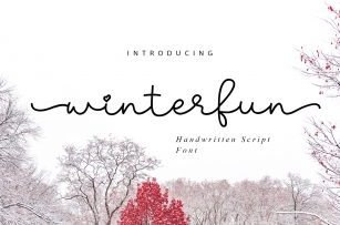 Winterfun | Handwritten Font Font Download