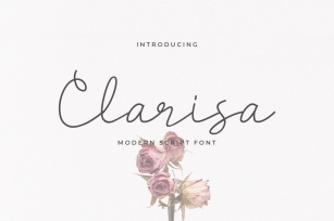 Clarisa Script Font Font Download