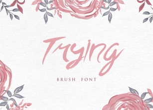 Trying Brush Font Font Download