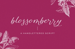 Blossomberry Script Font Font Download