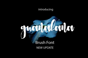 Guanabana Brush Font Font Download