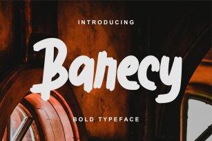 Barecy | Bold Typeface Font Font Download