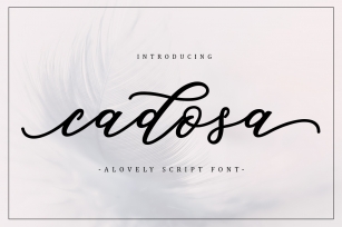 Cadosa Script Font Download