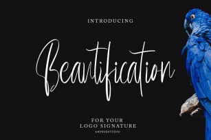 Beautification Signature Font Font Download