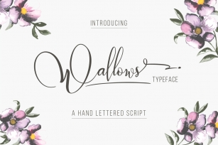 Wallows Font Download
