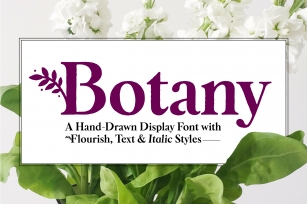 Botany Font Family Font Download
