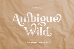 Ambigue Wild Font Download