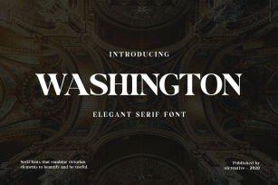 Washington Display Serif Font Font Download