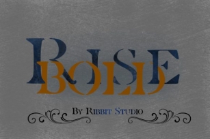 Rise Bold Font Download