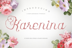 Karenina Script Font + Cute Vectors Font Download