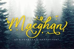 Maeghan Calligraphy Font Font Download