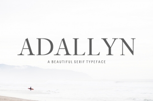 Adallyn Serif Font Family Pack Font Download