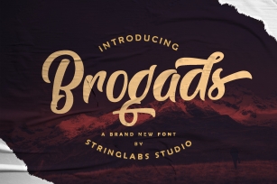 Brogads - Bold Script Retro Font Font Download