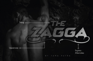 Zagga Decorative Display Typeface Font Download
