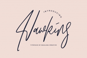 Hawkins Signature Brush Font Font Download