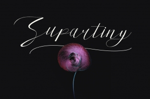 Supartiny Typeface Font Download