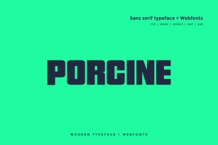 Porcine - Modern typeface with WebFont Font Download