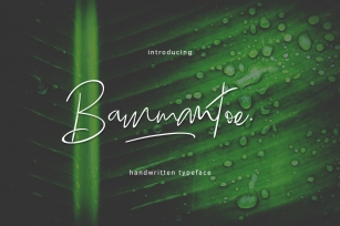 Bammantoe Typeface Font Download