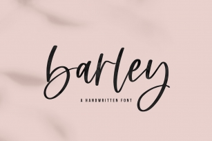 Barley - A Handwritten Script Font Font Download
