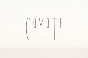 Coyote | A Playful Font Font Download