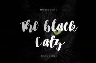 The black cats brush Script Font Download