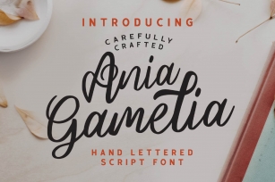 Ania Gamelia - Handlettering Script Font Font Download