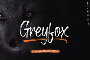 Greyfox Duo Dry Brush Font Download