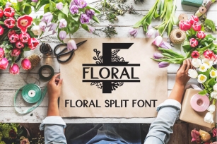 Floral Split Font - A Monogram Font Font Download
