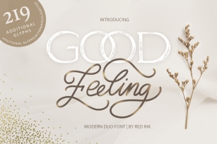 Good Feeling. Modern DUO Font. Font Download