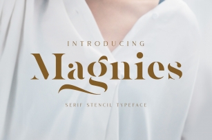 Magnies - Minimal Serif Font Download