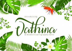 vathina script Font Download