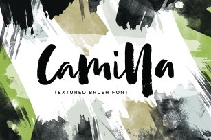 Camilla - Textured Brush Font Font Download