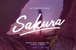 Sakura - Font Family Font Download
