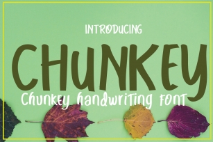 CHUNKY Font Download