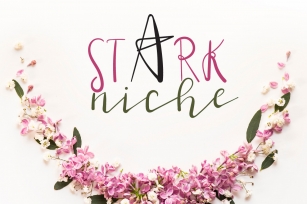 Stark Niche Script Font Font Download