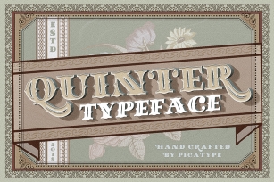 Quinter Typeface Font Download