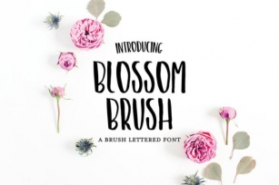 Blossom Brush Font Download