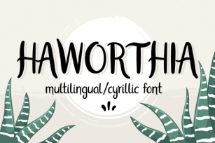 Haworthia Font Download