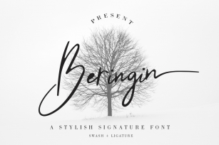 Beringin Stylish Signature Font Font Download