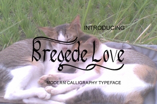Bregede Love Font Download