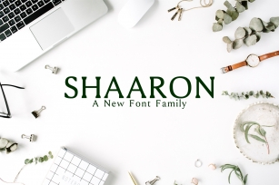 Shaaron A New Serif Font Family Font Download