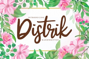 Distrik | Handwritten Script Font Font Download