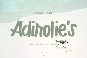 Adirolies | Simple Modern Typeface Font Font Download