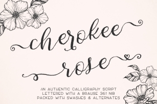 Cherokee Rose Calligraphy Script Font Download
