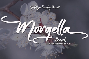 Morgella Brush Font Download