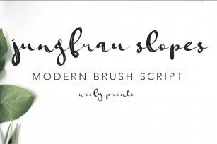 Jungfrau Slopes Modern Calligraphy Brush Script Font Download
